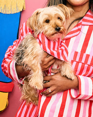 Taffy Stripes - Pet Bandana - Peppermint Swirl
